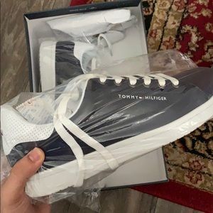 loyalty tommy hilfiger